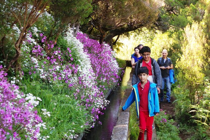 Skywalk 4x4 Experience and Rabacal 25 Fountains Levada Walk - Scenic Vistas and Waterfalls