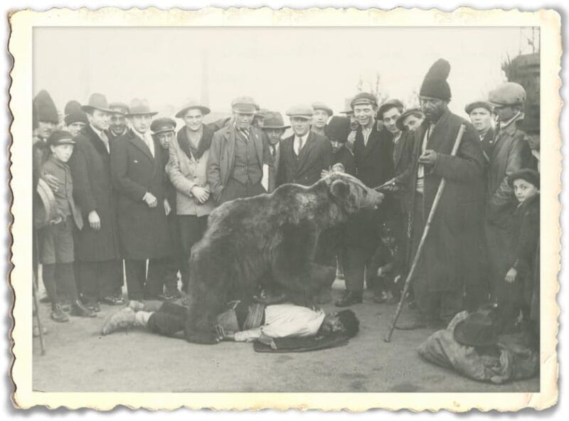 Slavery in Romania,Myths and Truths on Gypsies, Walking Tour - Who Would Love This Tour?