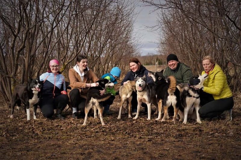 SLED DOG KENNEL VISIT TARTU COUNTRY ESTONIA - Visiting Practicalities: How to Make the Most of Your Visit