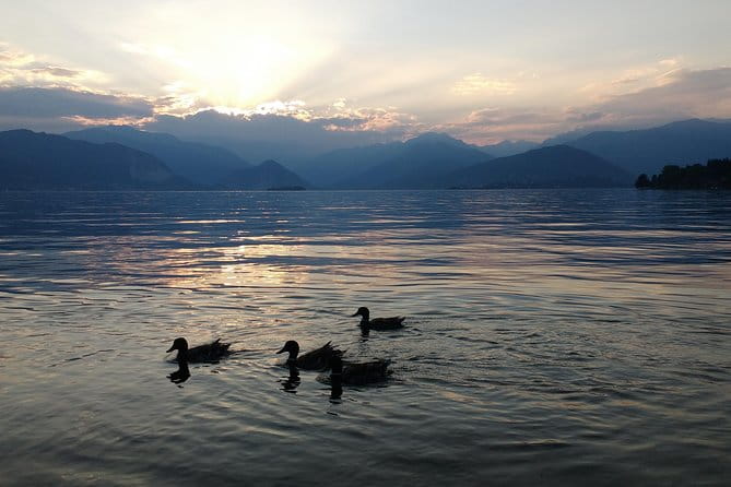 Slow boat tour for small groups with appetizer on Lake Maggiore - Final Thoughts: Is It Worth Your Time?