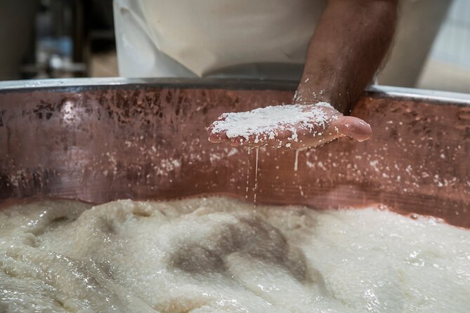 Slow Parma Food Experience Half Day Private Tour and Tasting - Delicious Lunch