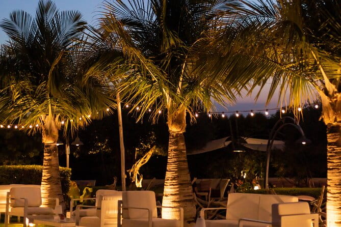 Slow Wine & Tartufo Gelato Tasting Experience - The Authentic Calabrian Aperitif