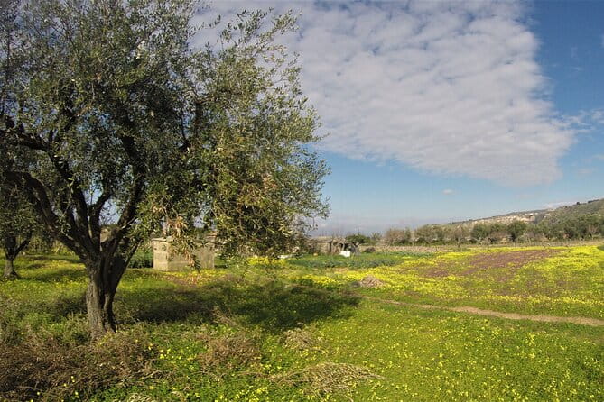 Slow Wine & Tartufo Gelato Tasting Experience - The Sum Up