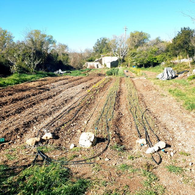 Slowlife Family Farm: From Garden to Table - FAQ