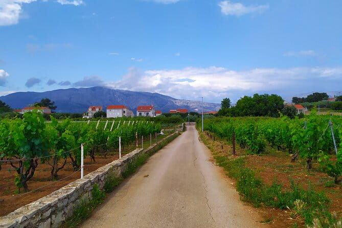 Slurp of Grk Wine Tour - Engaging Review of the Slurp of Grk Wine Tour