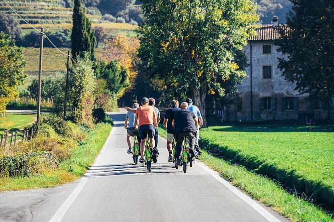 Small-group Amarone Wine e-Bike Tour from Verona - The Sum Up
