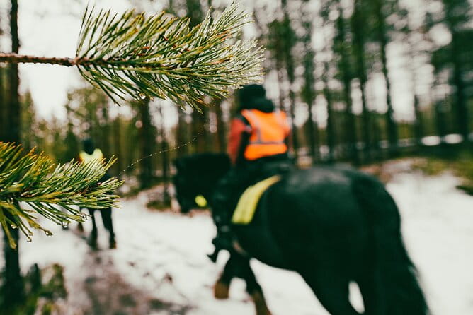 Small-Group Arctic Circle Horse Riding from Rovaniemi - Introduction to the Arctic Circle Horse Farm