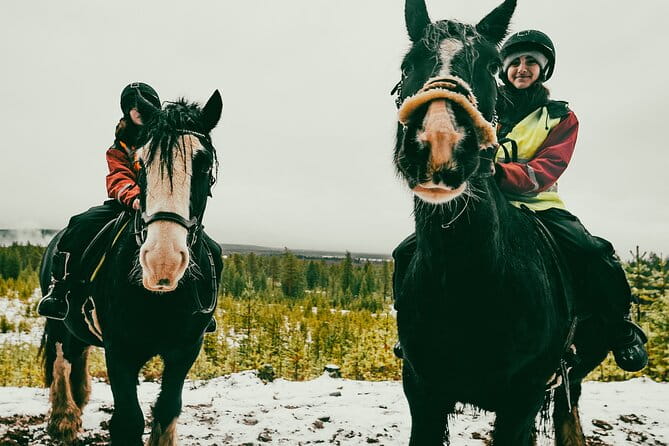 Small-Group Arctic Circle Horse Riding from Rovaniemi - The Horse Riding Itinerary: Forest Trails and Lapland’s Landscape
