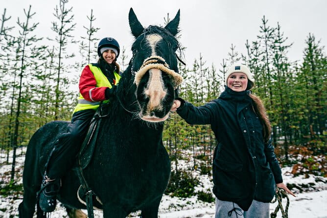 Small-Group Arctic Circle Horse Riding from Rovaniemi - Learning About the Horses and Their Care