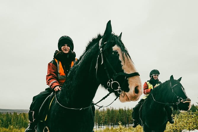 Small-Group Arctic Circle Horse Riding from Rovaniemi - Practical Considerations: Booking, Timing, and Group Size
