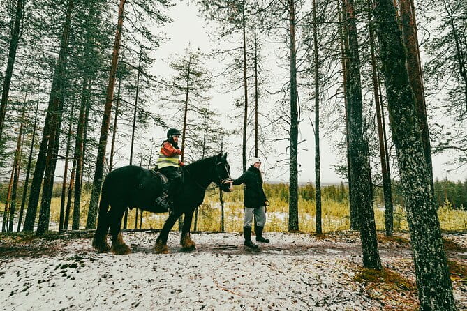 Small-Group Arctic Circle Horse Riding from Rovaniemi - Why This Experience Offers Good Value