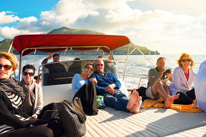 Small Group Boat Day Tour Cruise From Sorrento to Capri - Logistics and Details