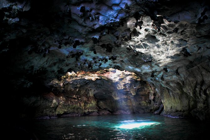Small Group Boat Excursion to Polignano a Mare - Just The Basics
