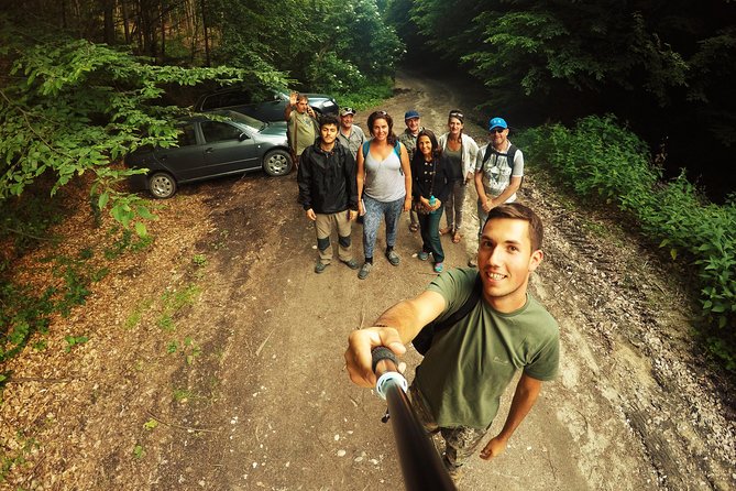 Small-Group Brown Bear-Watching Experience From Brasov - Wildlife Sightings