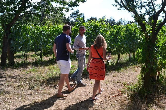 Small-Group Brunello Wine Tour of Montalcino from Florence - Who Will Love This Tour?