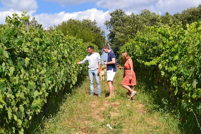 Small-Group Brunello Wine Tour of Montalcino from Florence - FAQ