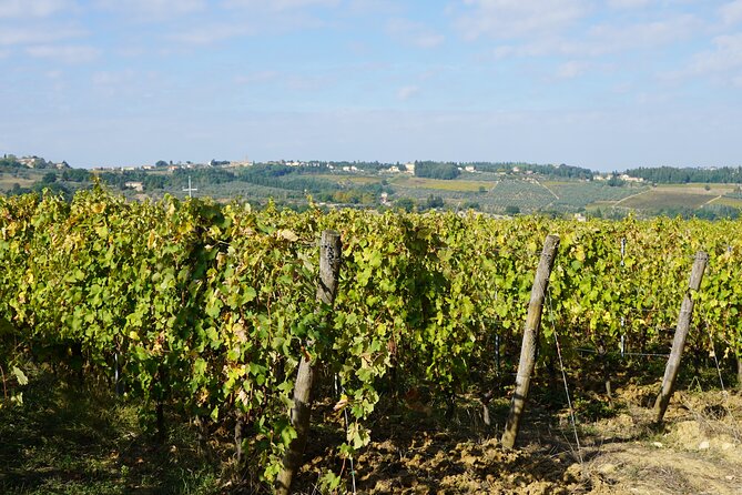 SMALL GROUP Chianti 2 Wineries & Meat Feast @ Dario Cecchini - Lunch at Butcher Shop
