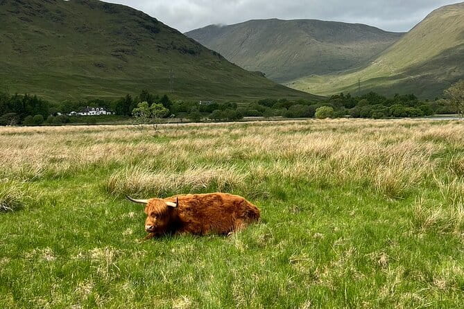 Small Group Day Trip to the Stunning Scottish Highlands & Glencoe - FAQ