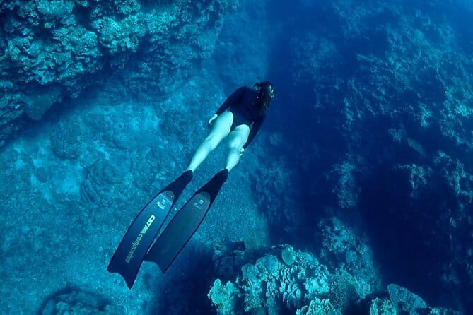 Small Group Diving Activity in Miyakojima - Inclusions