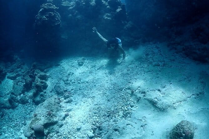 Small Group Diving Activity in Miyakojima - Booking Information