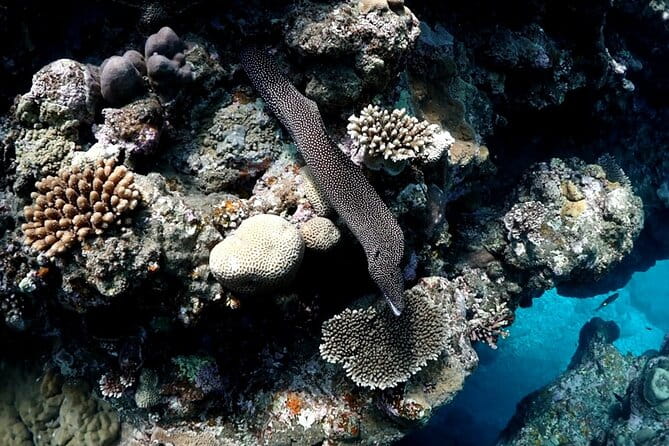 Small Group Diving Activity in Miyakojima - Preparing for the Diving Adventure