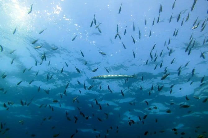 Small Group Diving Baptism in Tossa de Mar - The Sum Up