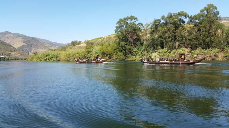 Small Group: Douro Valley Wine Tasting from Porto - Exploring the Douro Valley: A Full, Authentic Day