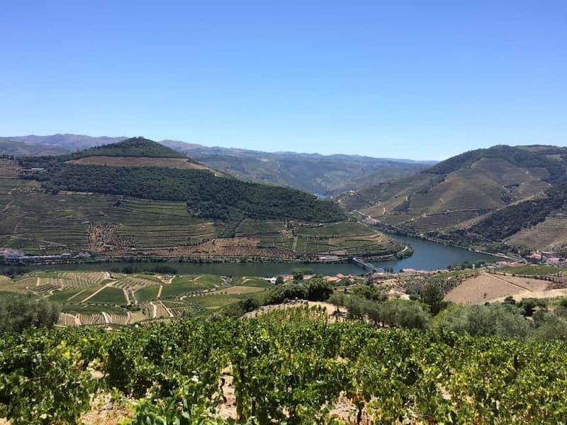 Small Group: Douro Valley Wine Tasting from Porto - FAQ
