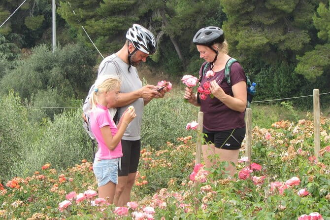 Small Group E-bike Tour in the Ligurian Riviera with Lunch - Who This Tour Is Perfect For