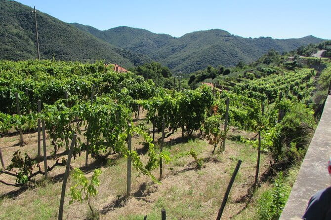 Small Group E-bike Tour in the Ligurian Riviera with Lunch - FAQ