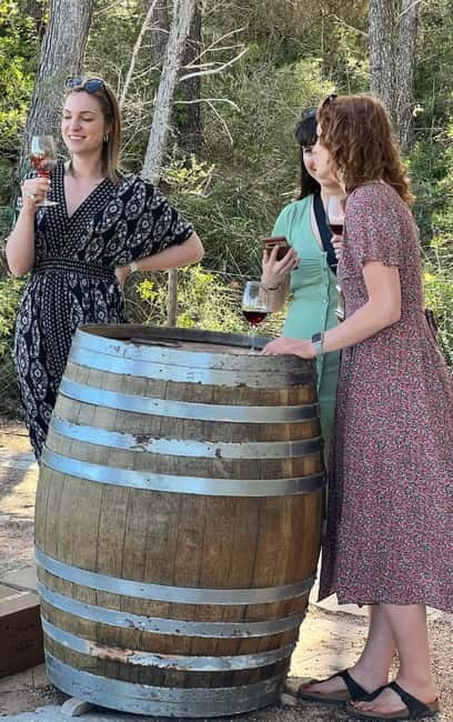 Small group- Exclusive Olive Oil & Wine Tour Mallorca - The Sum Up: Who This Tour Is Perfect For