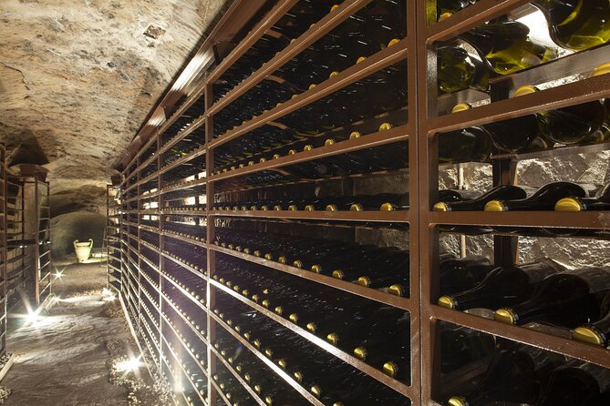 Small-Group Exclusive Winery and Wine Tasting Tour in Frascati - Reviews Highlights