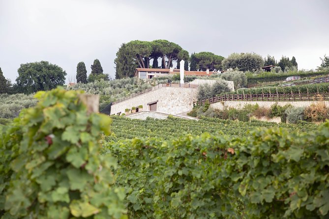 Small-Group Exclusive Winery and Wine Tasting Tour in Frascati - Winery Tour