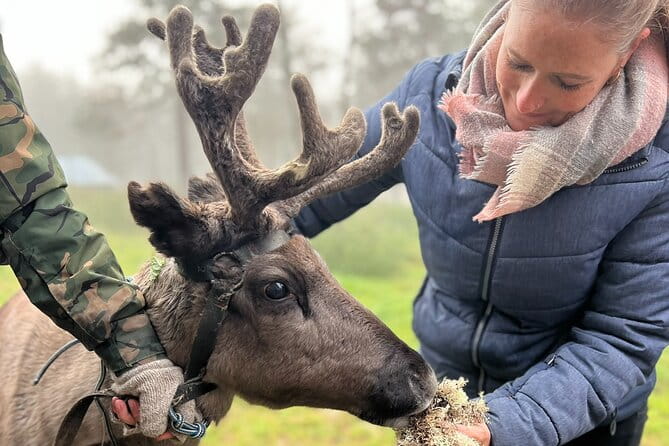 Small Group Fishing, Lunch& Reindeer Farm Visit in the Wilderness - Entering the Heart of Lapland: The Itinerary