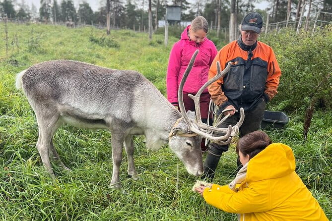 Small Group Fishing, Lunch& Reindeer Farm Visit in the Wilderness - Final Thoughts: Is It Worth It?