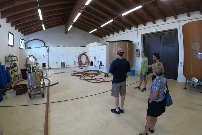 Small-Group Food and Wine Tour from Cagliari - In-Depth Look at the Experience