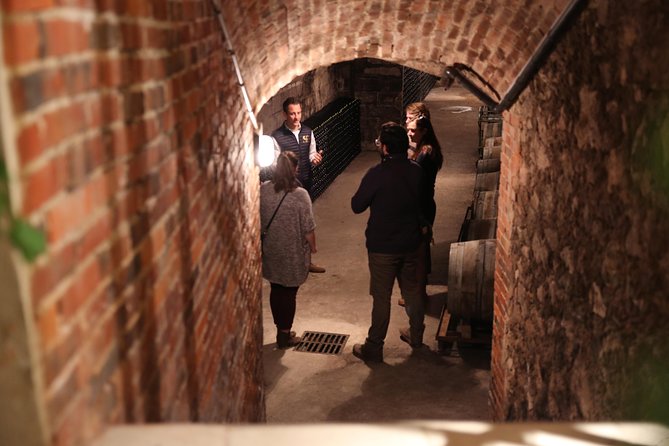 Small Group - Full Day Champagne Tour 3 Small Champagne Growers - Guided by an English-speaking Driver