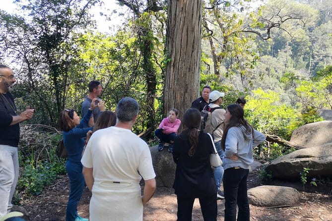 Small Group FULL DAY PRIVATE TOUR Sintra + Cascais+Roca Cape - Who Should Consider This Tour?