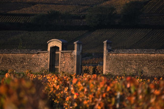 Small-Group Full-Day Tour of Côte De Nuits, Côte De Beaune Vineyards and Beaune Historical District - Highlights