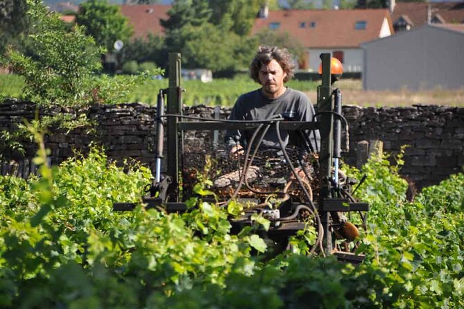 Small-Group Full-Day Tour of Côte De Nuits, Côte De Beaune Vineyards and Beaune Historical District - Additional Information