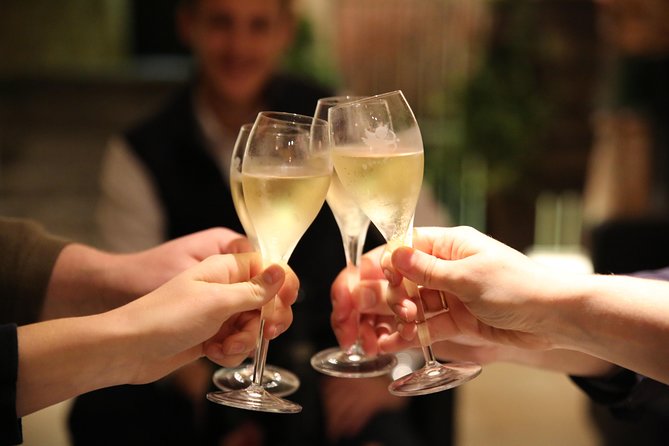 Small Group - Half Day Champagne Tour - Visit of 2 Small Producers/Growers - Winery Visits and Tastings