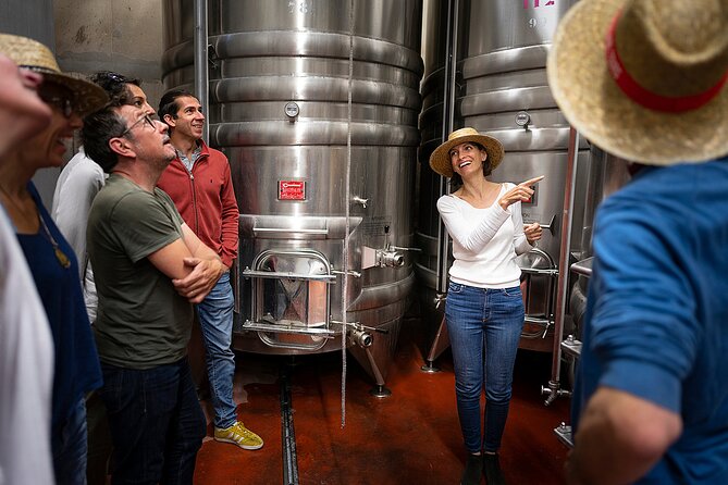 Small-Group Half-Day Languedoc Wine and Oyster Tour From Montpellier - Tasting a Variety of Wines