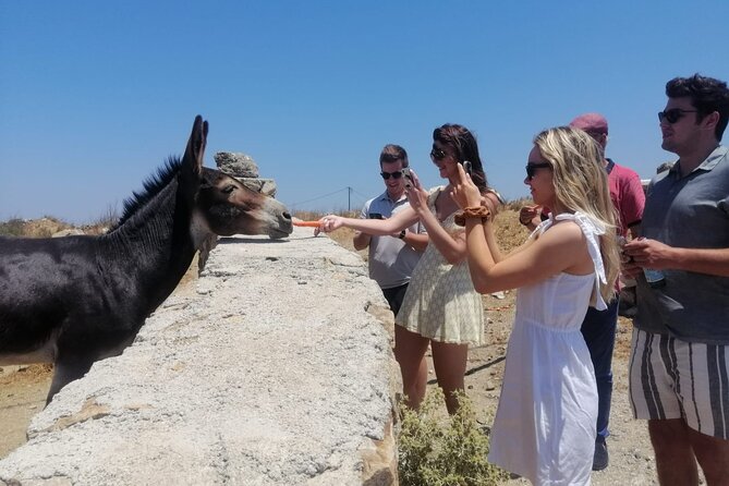 Small-Group Half-Day Tour in Mykonos - Tour Details