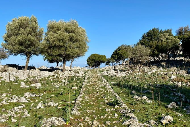 Small Group Hiking from Salakos to Profitis Ilias - FAQ