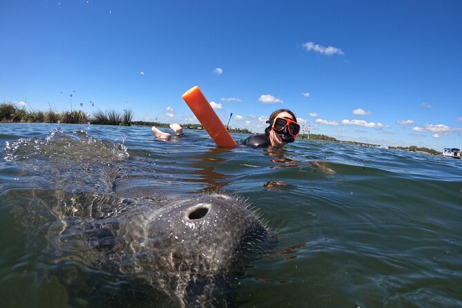 Small Group Manatee Swim Tour With In Water Guide - Guided Snorkeling Experience