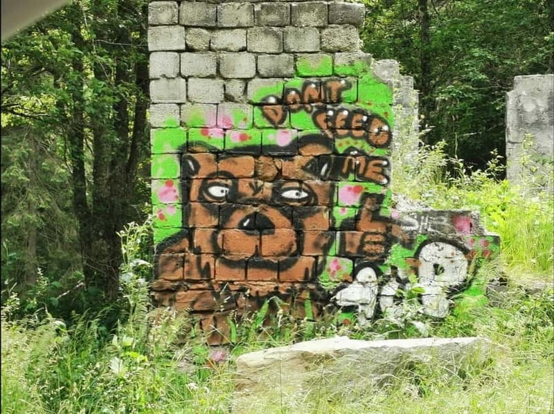 Small group - max 7 pax -Wild Bears Safari on Transfgran - The Itinerary: What Makes Each Stop Special