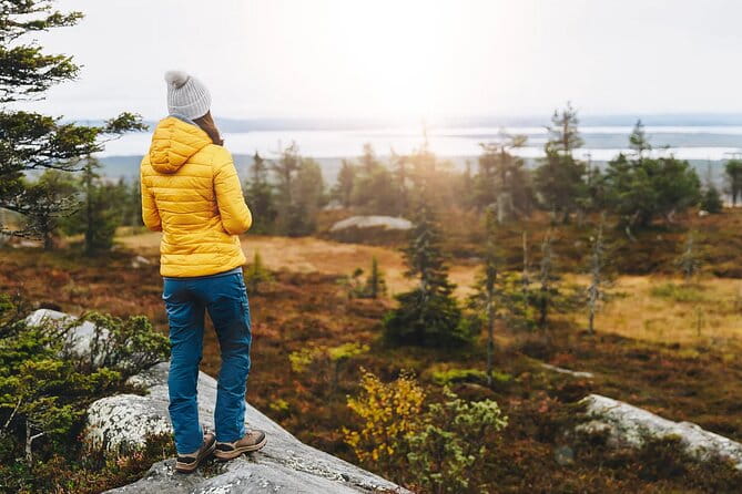 Small-Group Moose Wild Safari from Rovaniemi - Authenticity and Experience: What You’re Really Getting