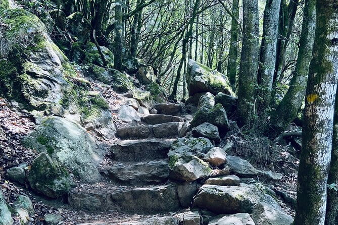 Small Group Mountain Day Trip - Wrap-up at Lac de Tolla