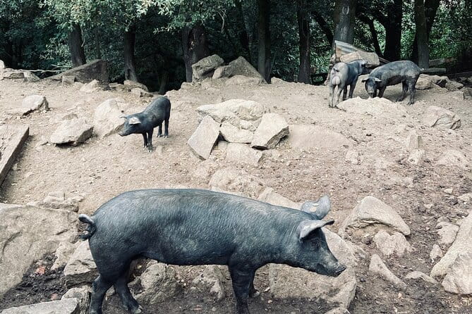 Small Group Mountain Day Trip - Price and Value Analysis