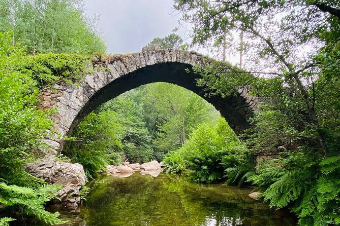 Small Group Mountain Day Trip - Final Thoughts